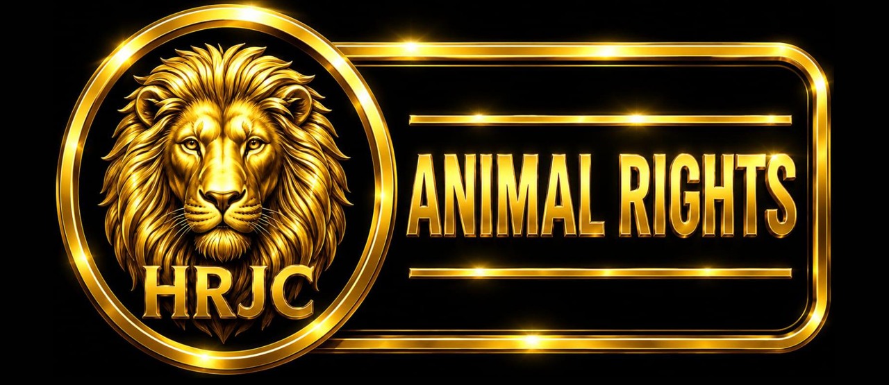 Animal Rights